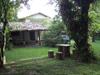 sitio do v� ingo