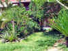 tebet01.jpg (21321 bytes)
